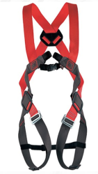 BASIC DUO - Full body harness